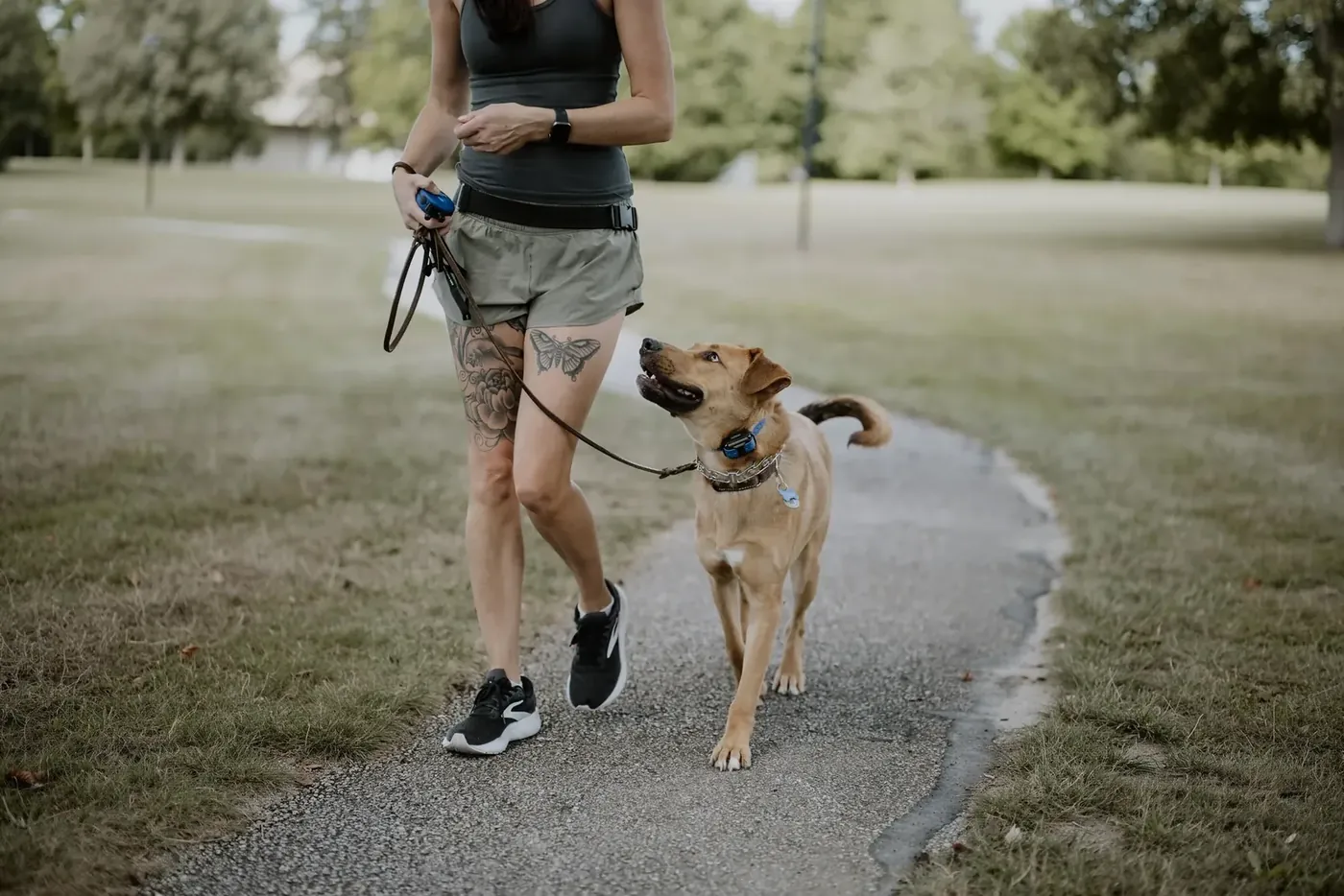 Trainer walking a dog at heel on a path